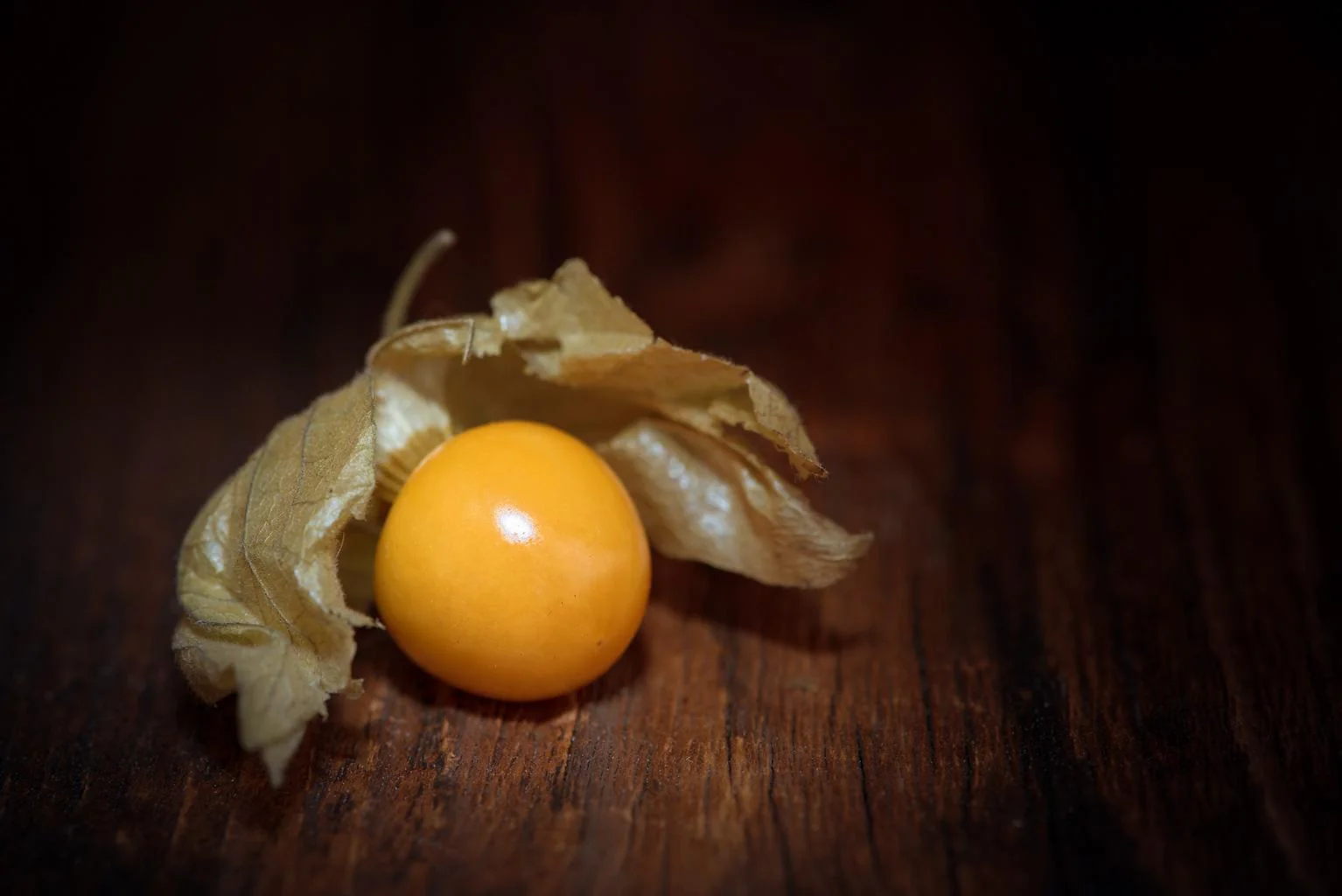 Physalis peruviana <br>PERUVIAN GROUNDCHERRY, GOOSEBERRY Husk Cherry - Image 4