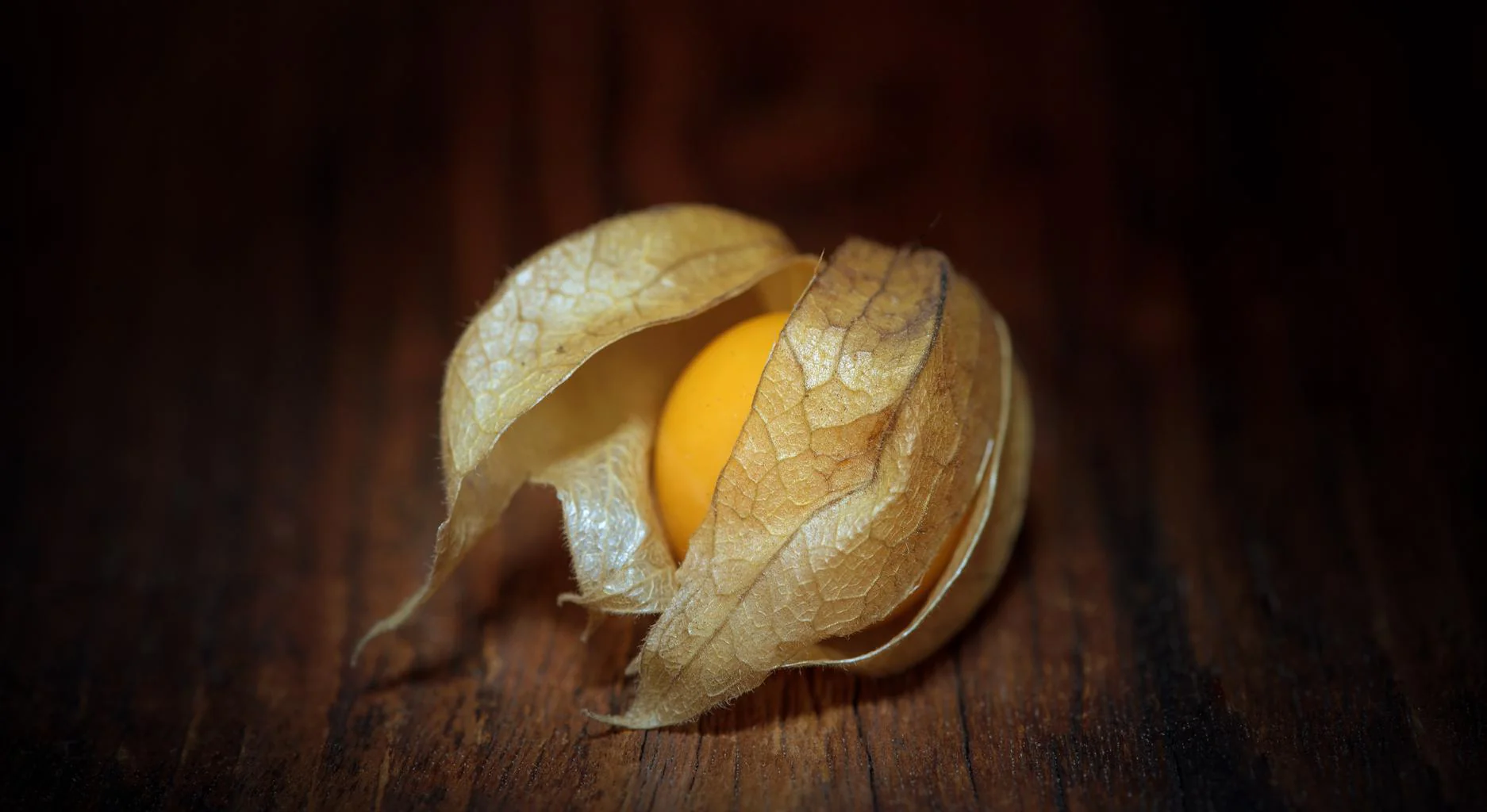 Physalis peruviana <br>PERUVIAN GROUNDCHERRY, GOOSEBERRY Husk Cherry - Image 5