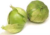 Physalis ixocarpa <br>TOMATILLO HUSK TOMATO