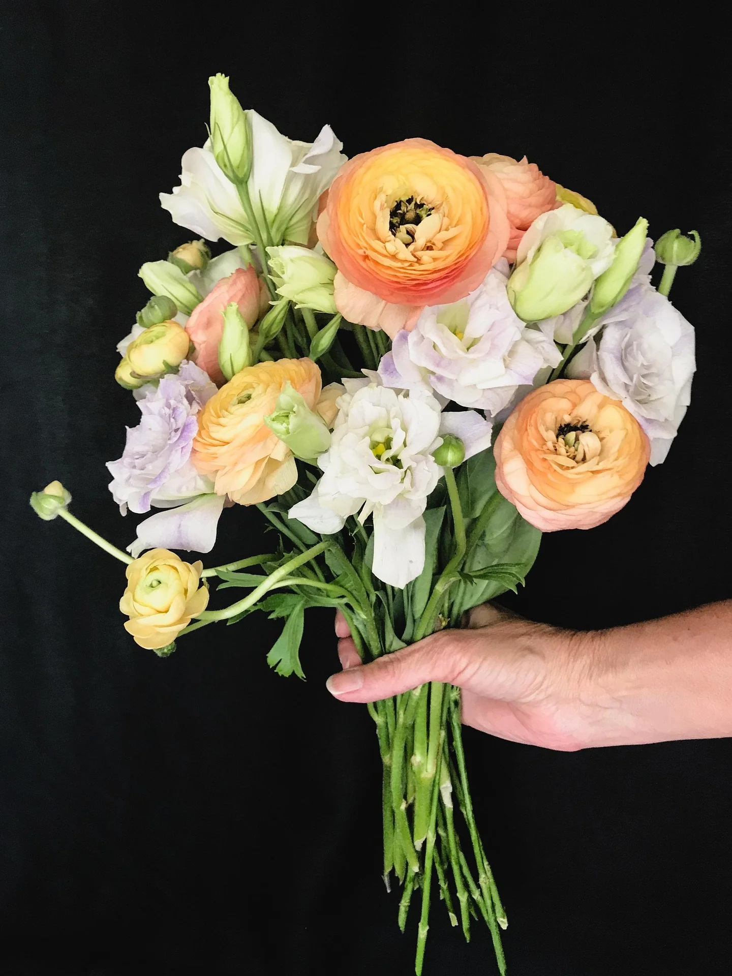 Ranunculus <br>RANUNCULUS CUTFLOWER MIX - Image 3